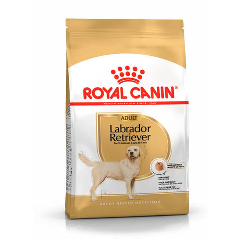 Adult Labrador Retriever 12 kg