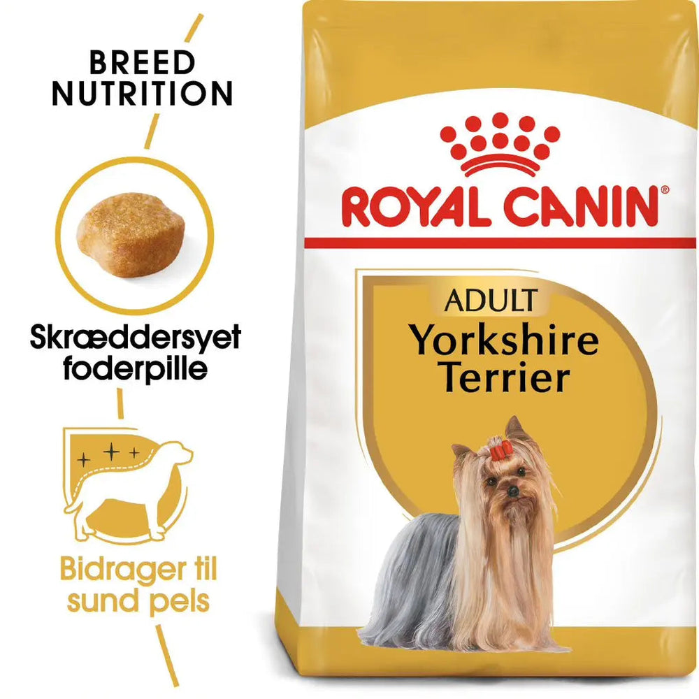 Adult Yorkshire Terrier 1,5 kg