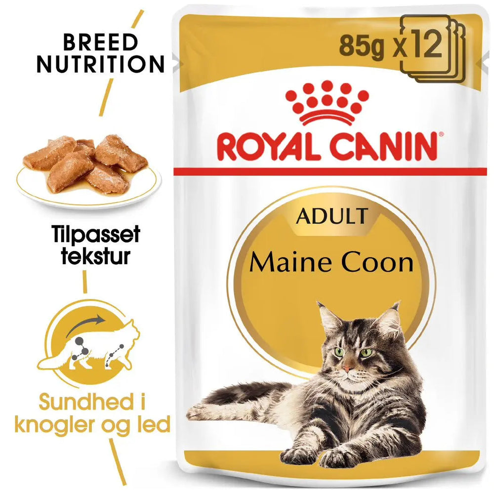 Adult Paté, menuboks pouch Maine Coon 12x85 g